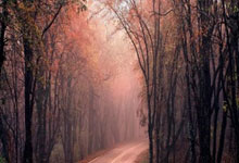 弗拉格缺阵没关系！杜克三人15+夺冠进疯三 25年.