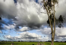 PG游戏：孔塞桑：今天输球情况特殊且平局是合理结果 让点体现更衣室团结.