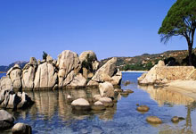 [乒乓球]世乒联冠军赛重庆站男单半决赛：张本智和VS王楚钦 集锦.